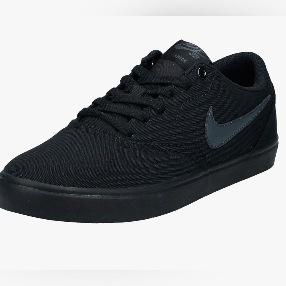 Nike Men's Black Skate Shoes